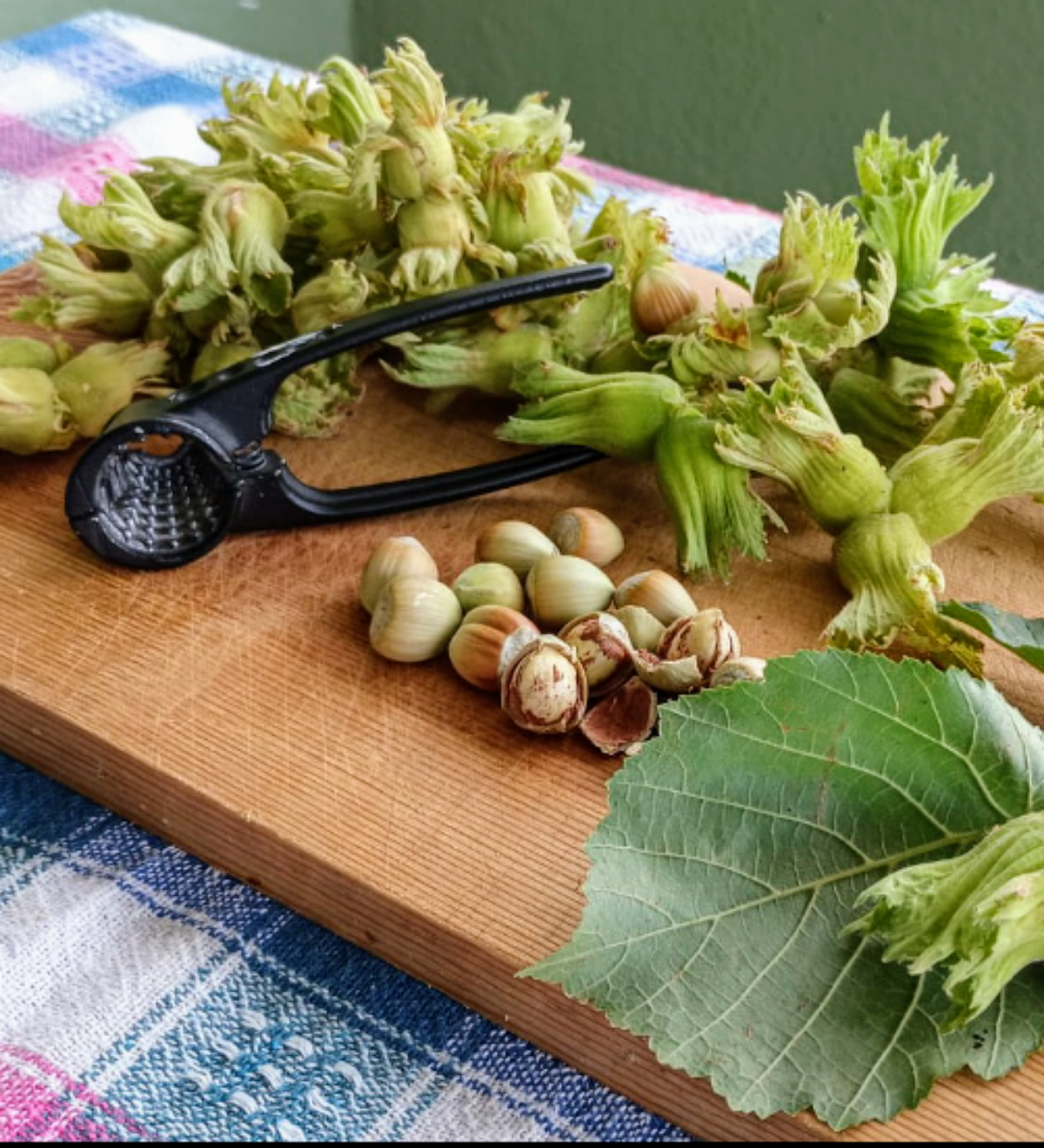 Kabuklu Yaş Fındık (1 kg)